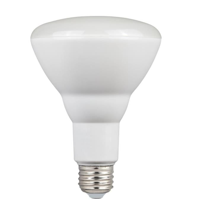 Westinghouse Lighting 5221000   Light Bulb Frost