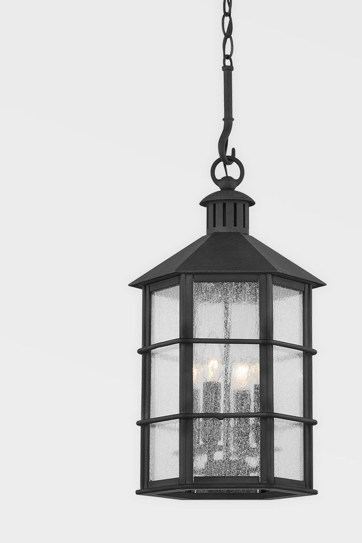 Troy Lighting F2526-FRN  Lake County Outdoor French Iron