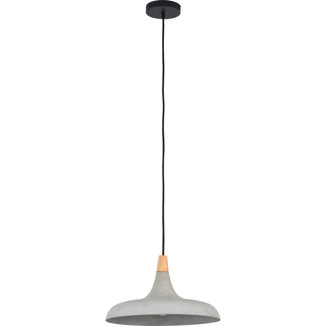 Renwil LPC4331 Pendant Light -