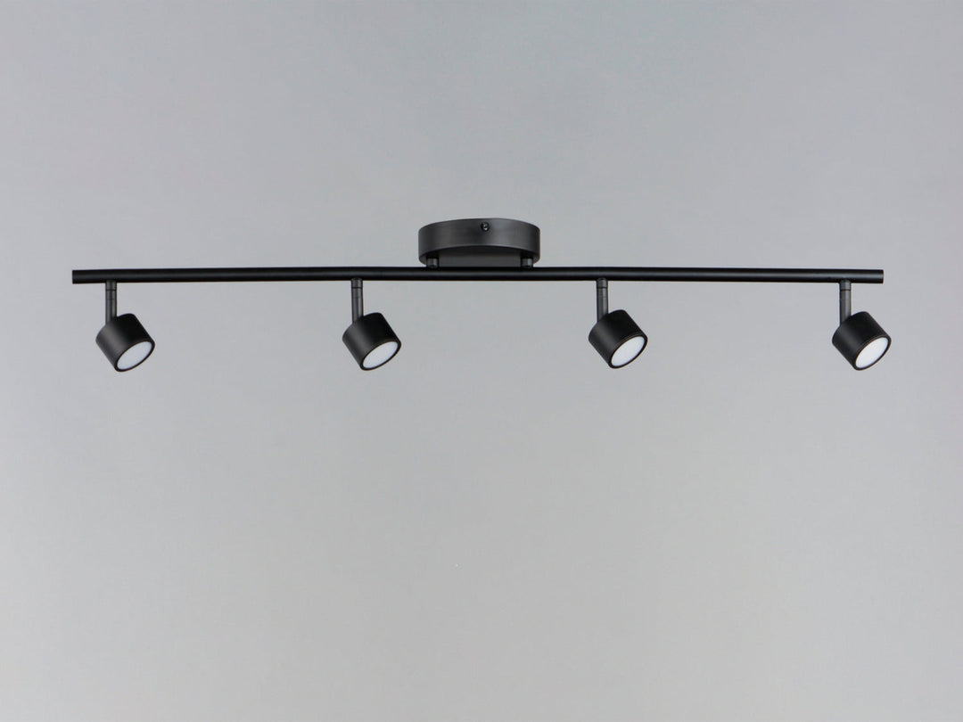 ET2 by Maxim Taylor E52004-BK Ceiling Light - Black
