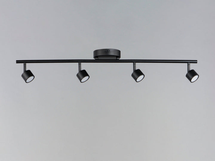 ET2 by Maxim Taylor E52004-BK Ceiling Light - Black