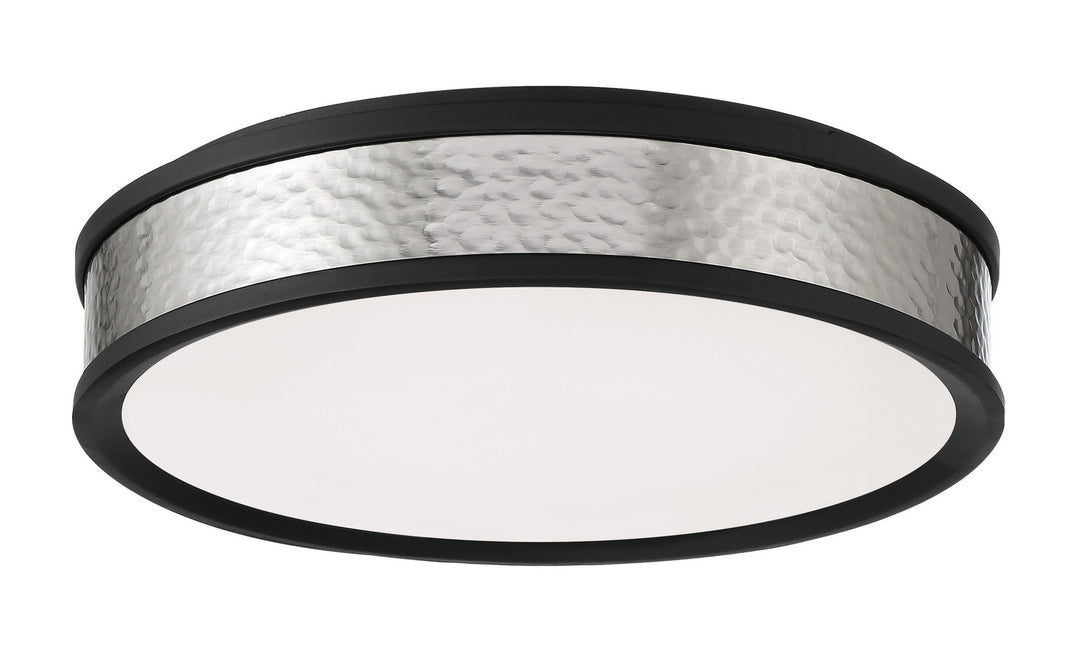 Minka-Lavery 717-2-691-L Ceiling Light - Coal With Brushed Nickel