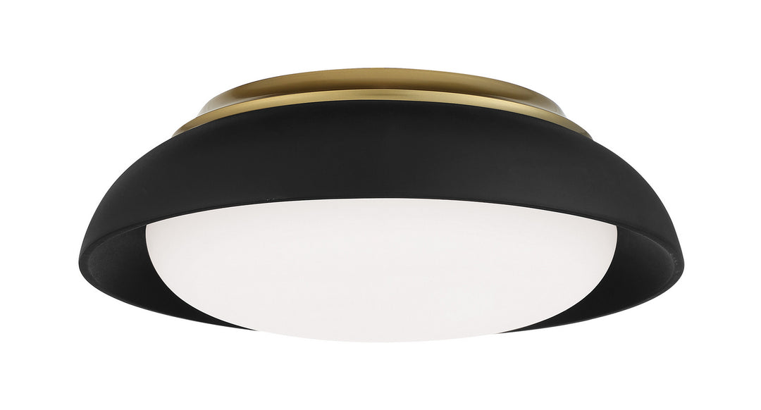 Minka-Lavery 719-661-L Ceiling Light - Coal W/Honey Gold Highlight