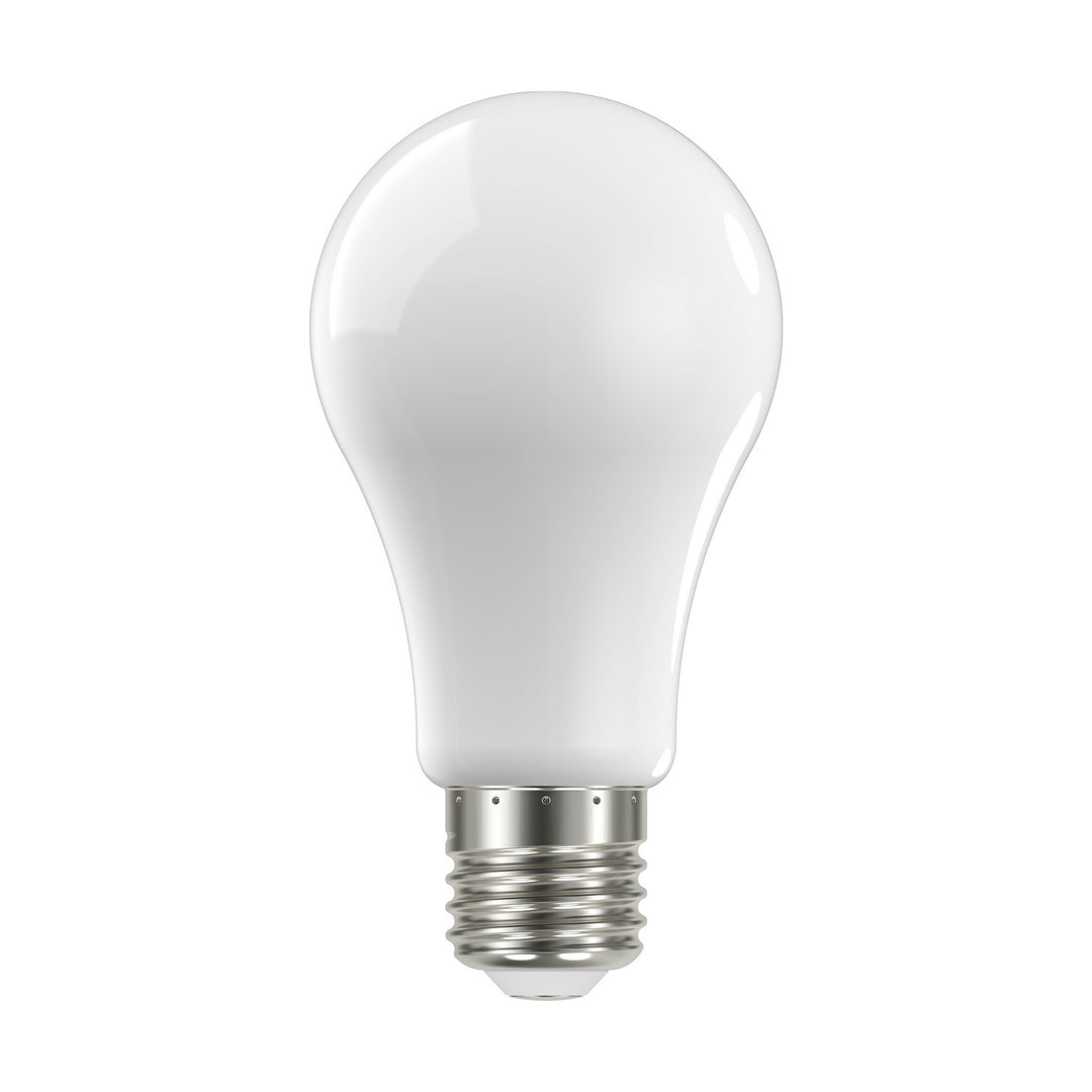 Satco Lighting S12434   Light Bulb Soft White