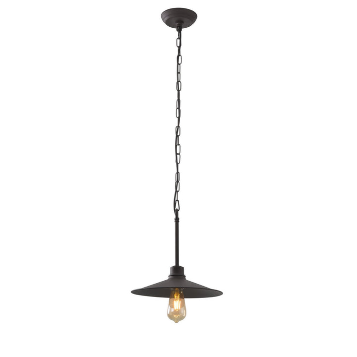 Varaluz Clayton 356M01DC Pendant Light - Dark Coffee