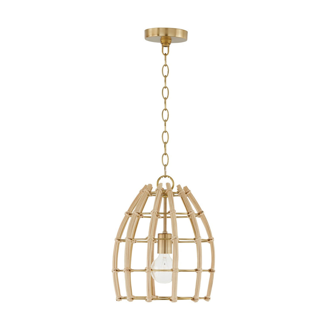 Capital Wren 344111MA Pendant Light - Matte Brass