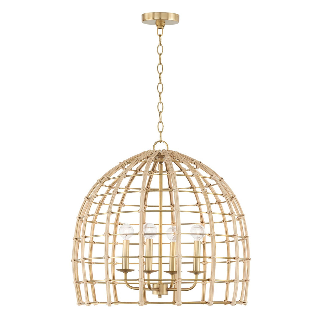 Capital Wren 344141MA Pendant Light - Matte Brass