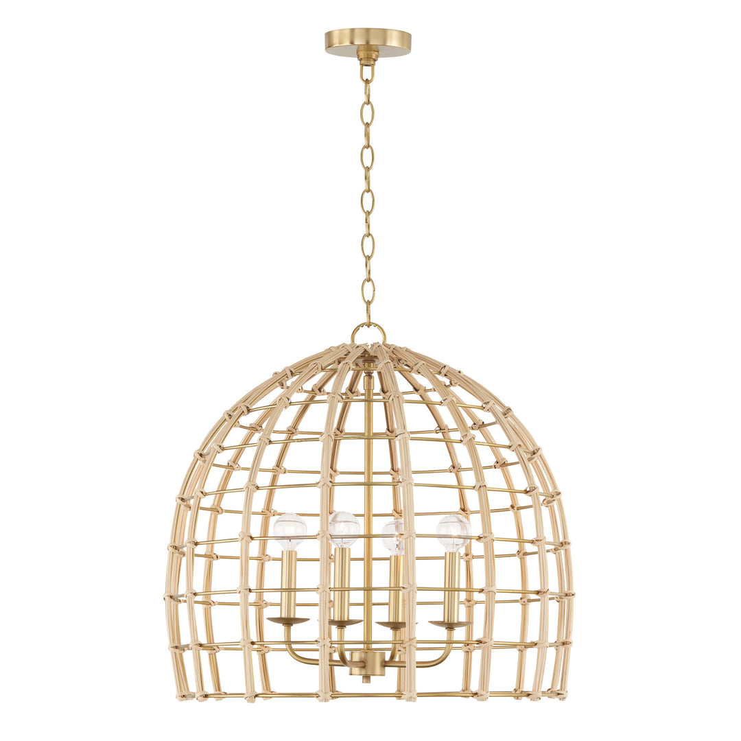 Capital Wren 344141MA Pendant Light - Matte Brass