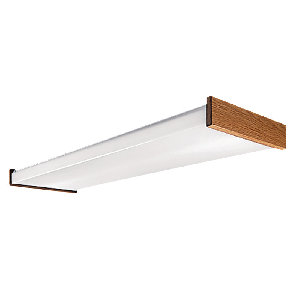 Cooper Lighting WN-232A-120V-REB1-U   Utility Light Bronze / Dark