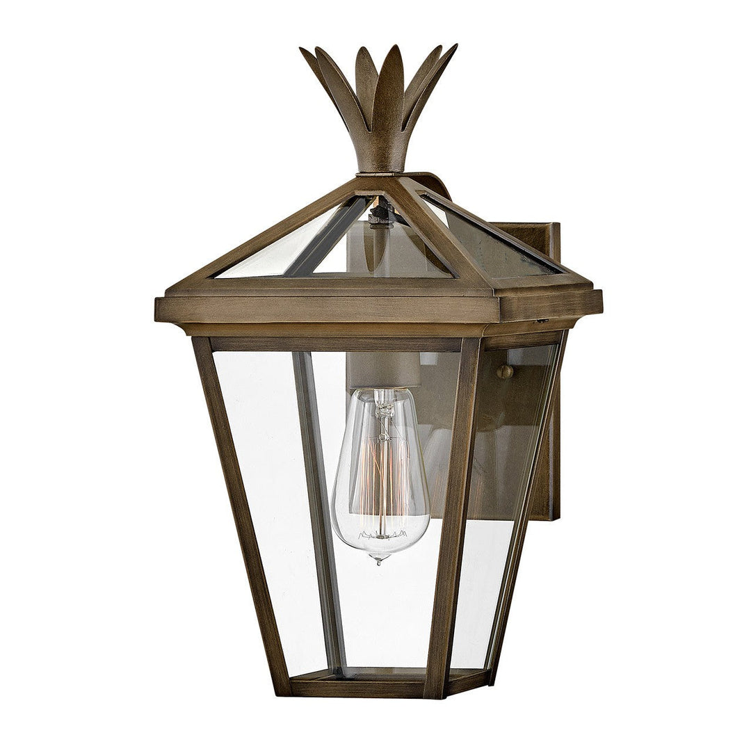 Hinkley Lighting 26090BU  Palma Outdoor Burnished Bronze