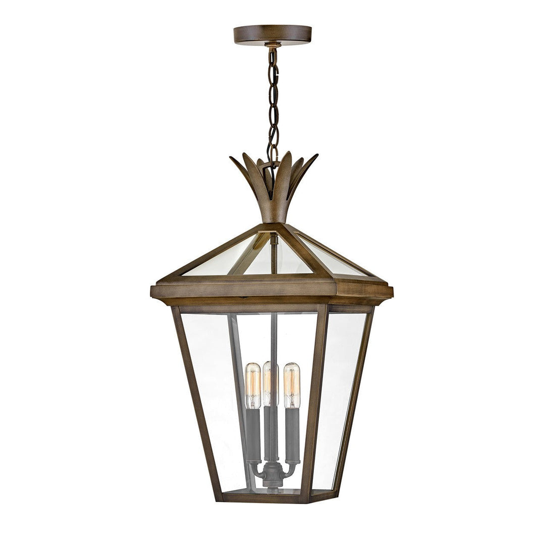 Hinkley Lighting 26092BU  Palma Outdoor Burnished Bronze