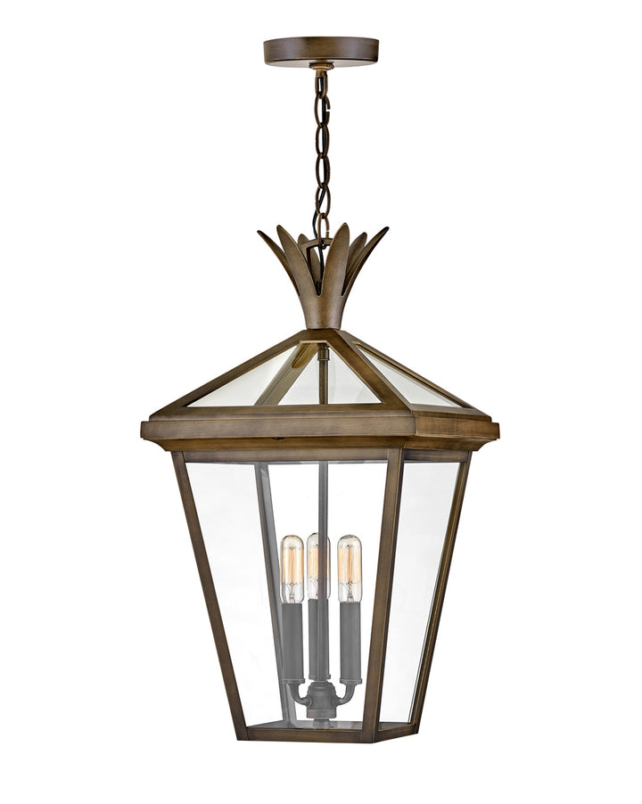 Hinkley Lighting 26092BU  Palma Outdoor Burnished Bronze