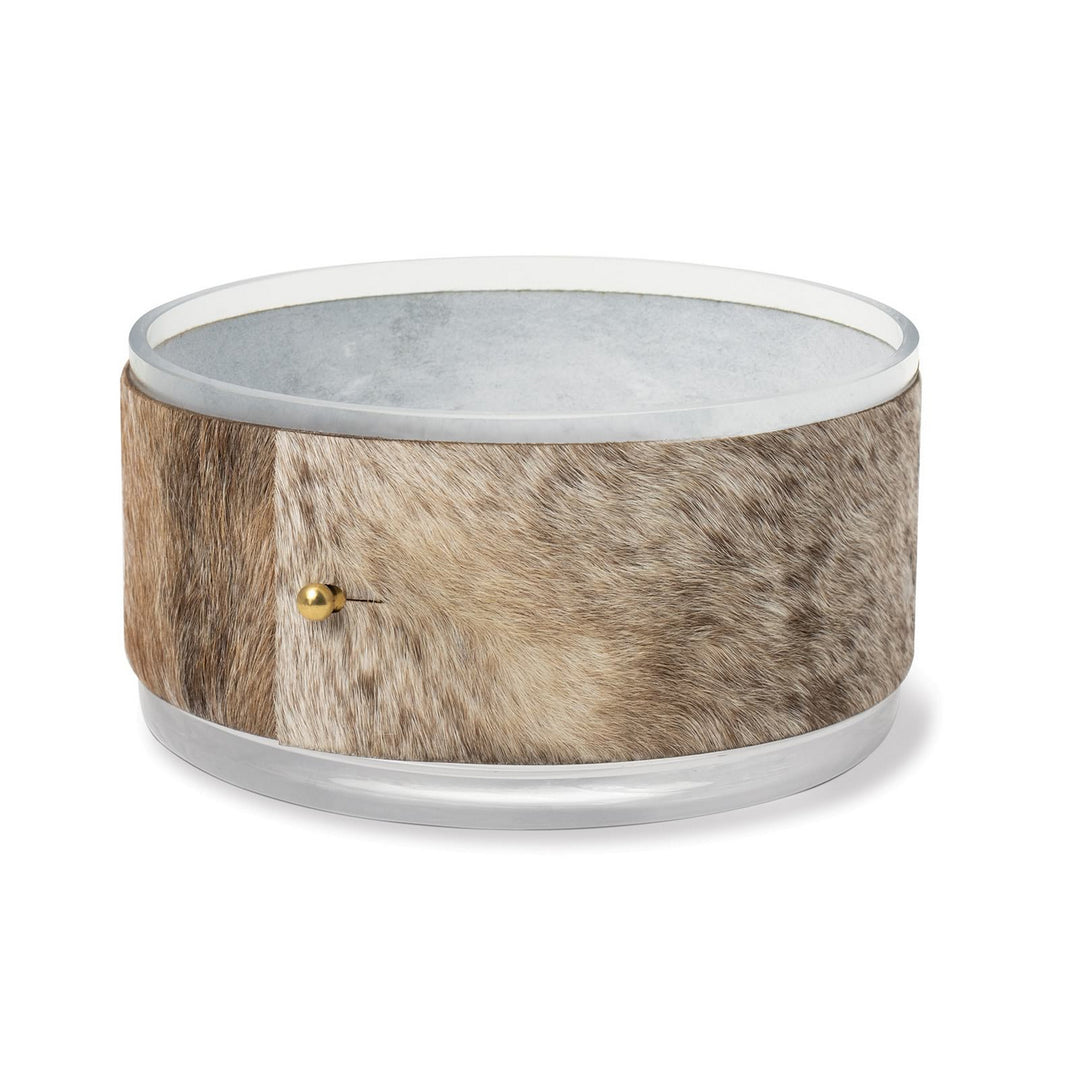 Regina Andrew 20-1525  Jackson Home Decor Clear