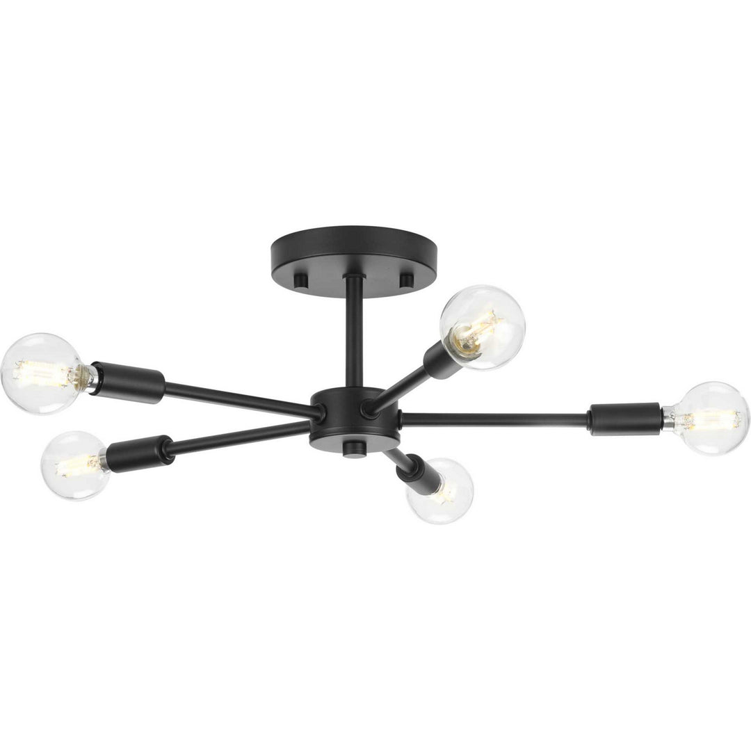 Progress Delayne P350219-31M Ceiling Light - Matte Black