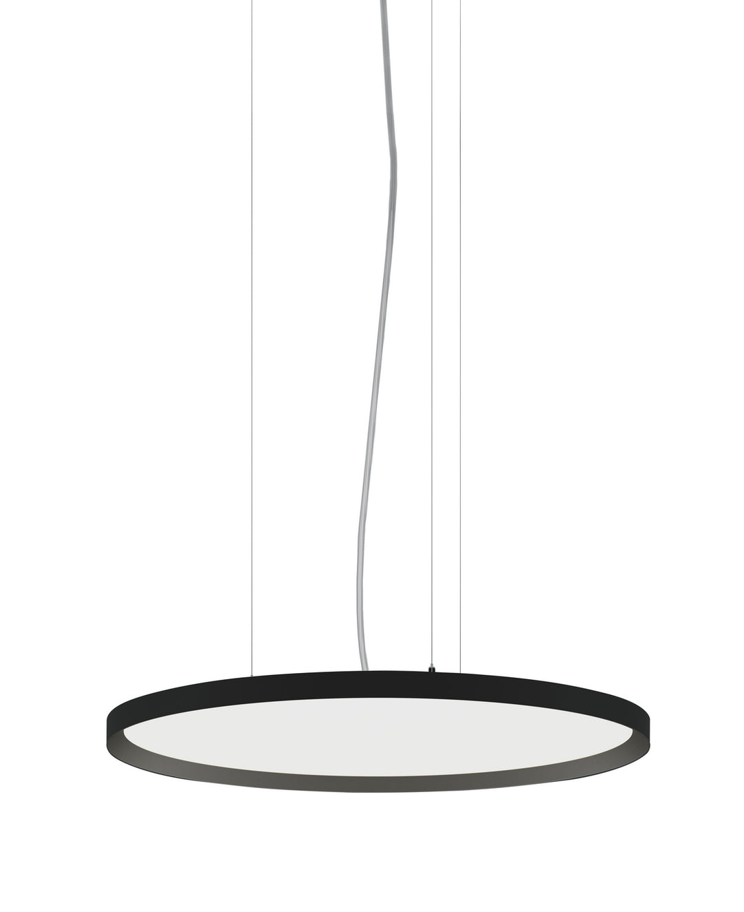 Bruck Bina BINAP-RD-24-DI-BK Pendant Light - Black