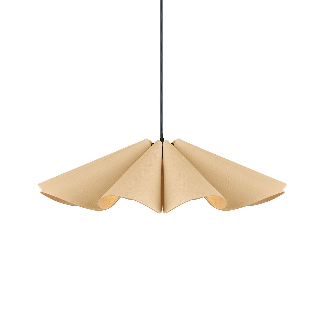 Bruck WEP WEPDEL/60/ASH/ASH Pendant Light - Black