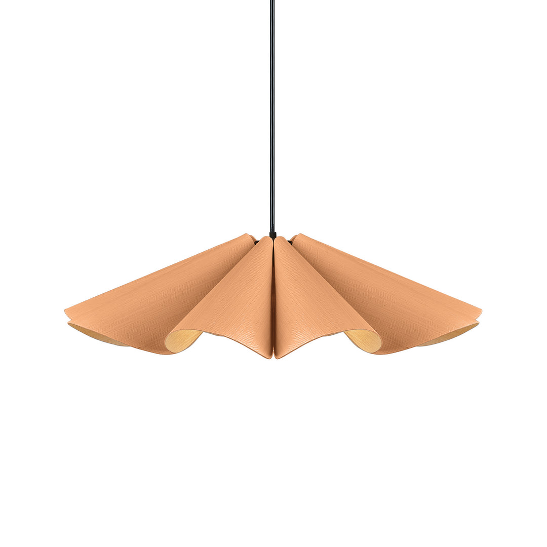 Bruck WEP WEPDEL/60/PTB/ASH Pendant Light - Black