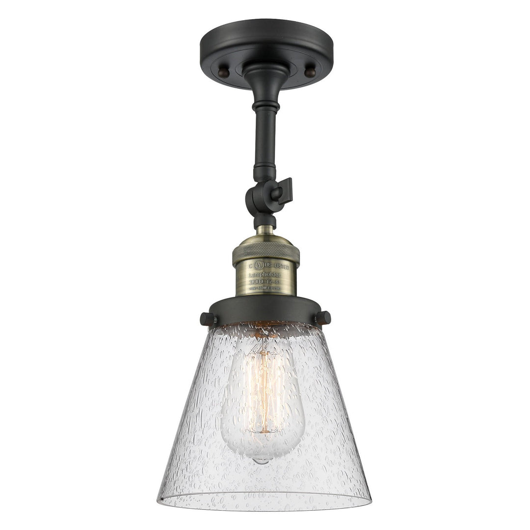 Innovations Franklin Restoration 201F-BAB-G64-LED Ceiling Light - Black Antique Brass
