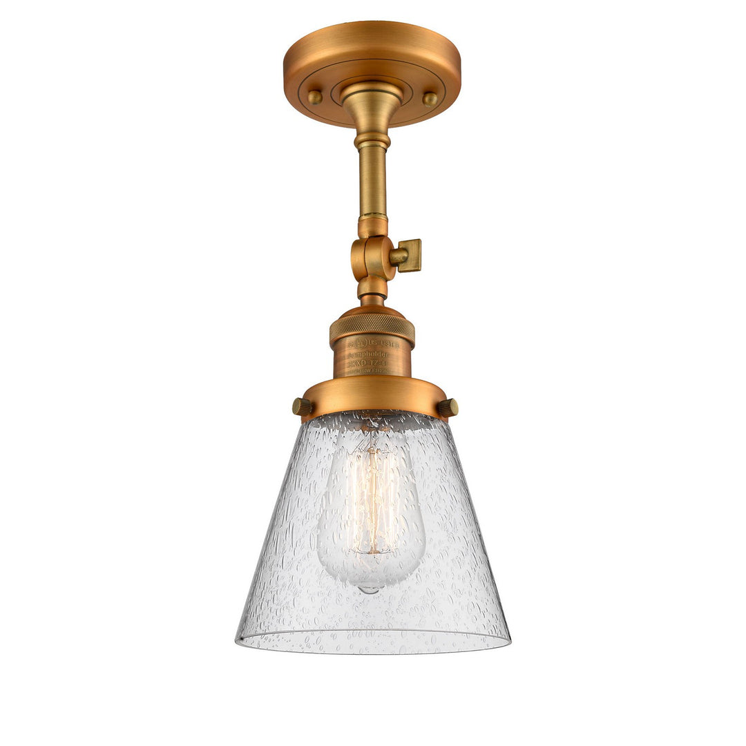 Innovations Franklin Restoration 201F-BB-G64-LED Ceiling Light - Brushed Brass
