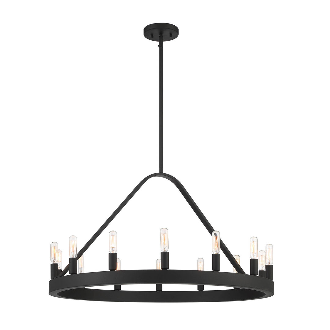 Designers Fountain Carousel D254C-14CH-BK Chandelier Light - Black