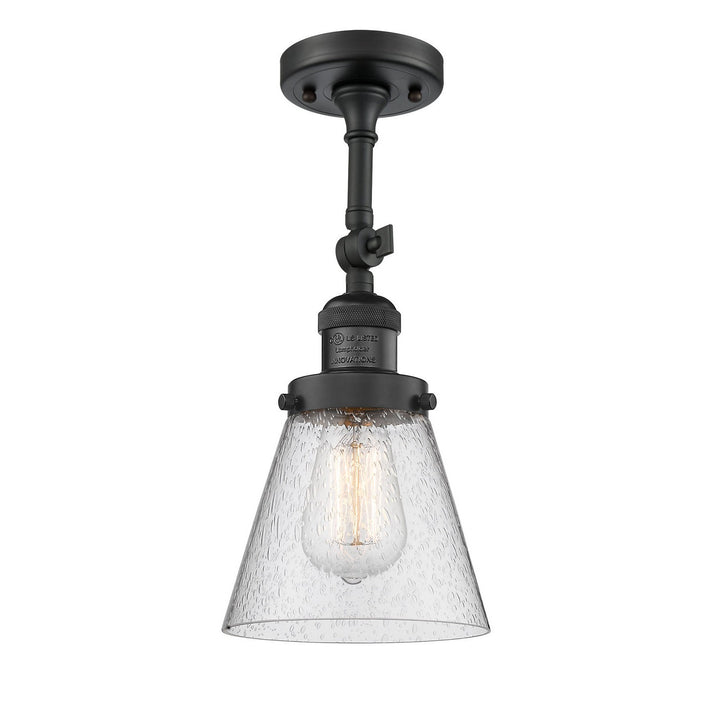Innovations Franklin Restoration 201F-BK-G64 Ceiling Light - Matte Black