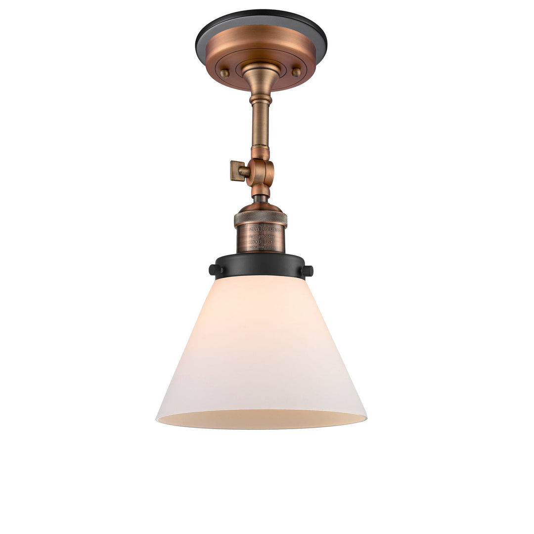 Innovations Franklin Restoration 201FBP-ACBK-G41 Ceiling Light - Antique Copper