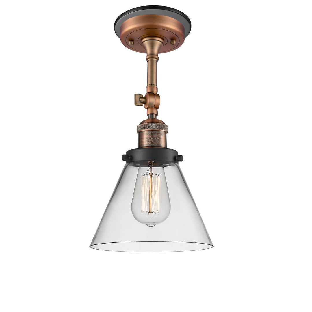 Innovations Franklin Restoration 201FBP-ACBK-G42 Ceiling Light - Antique Copper