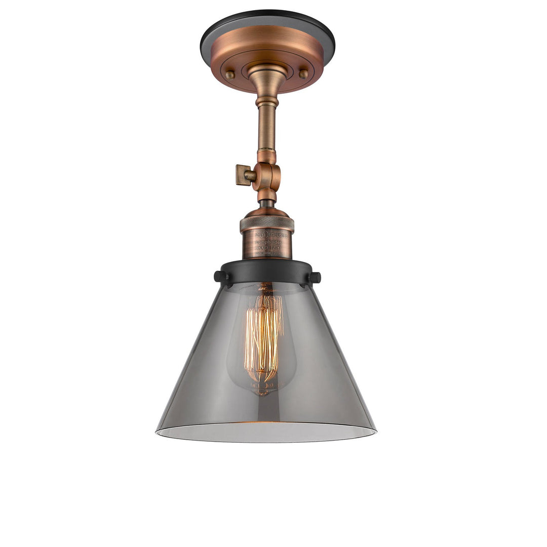 Innovations Franklin Restoration 201FBP-ACBK-G43 Ceiling Light - Antique Copper