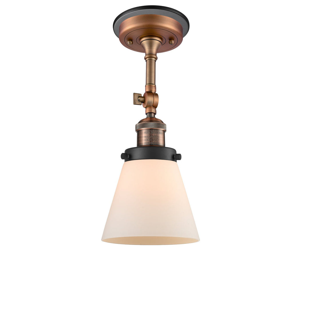 Innovations Franklin Restoration 201FBP-ACBK-G61 Ceiling Light - Antique Copper