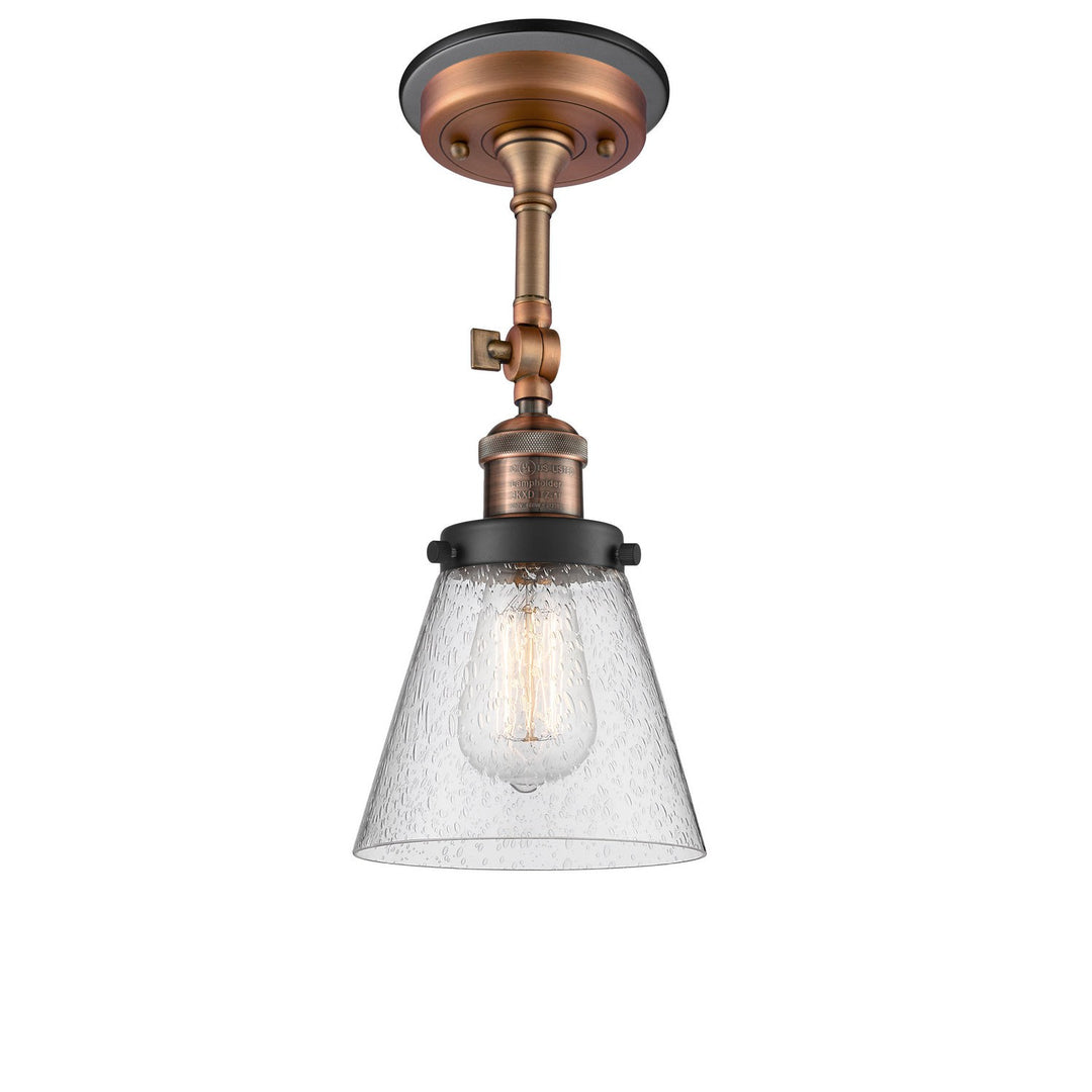 Innovations Franklin Restoration 201FBP-ACBK-G64 Ceiling Light - Antique Copper