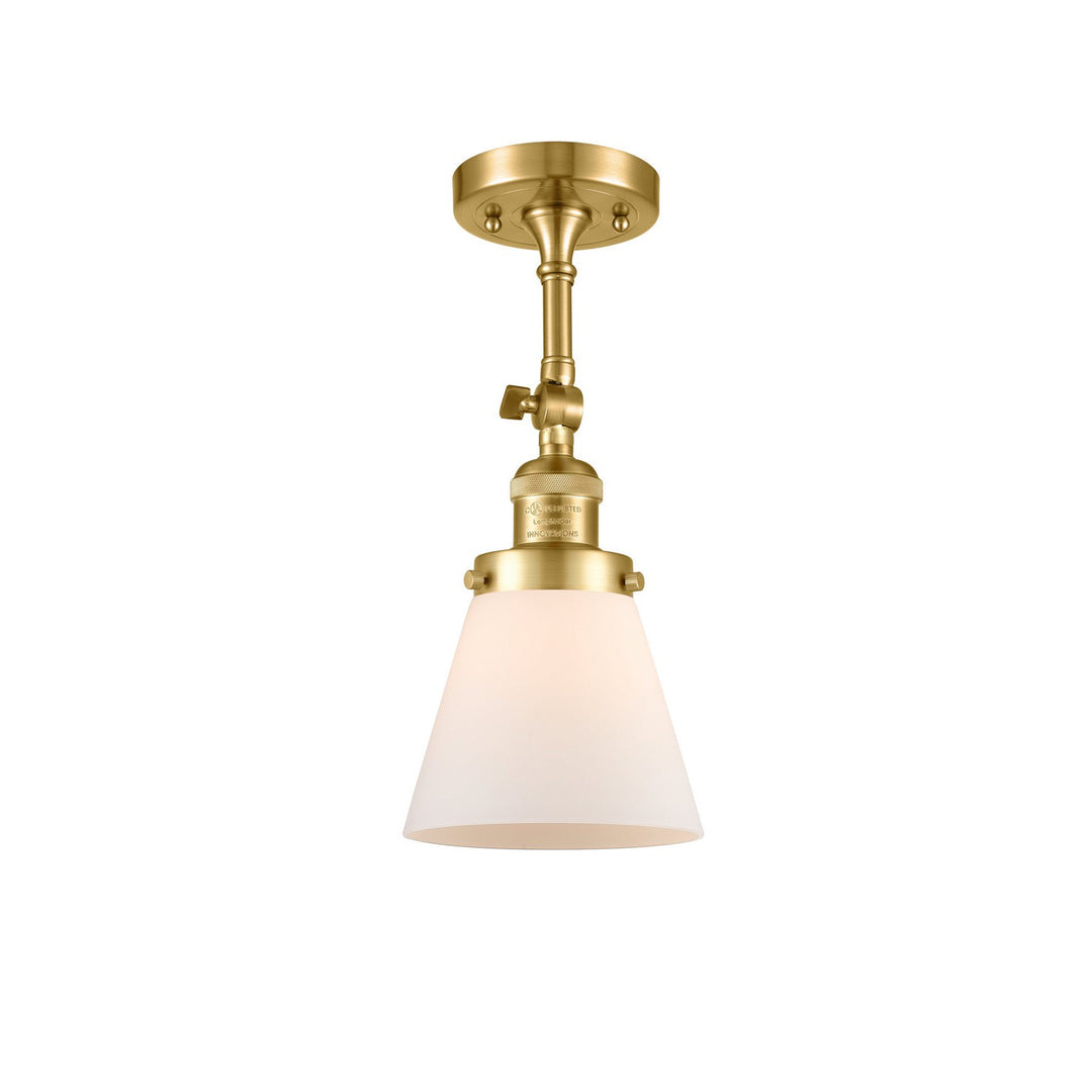 Innovations Franklin Restoration 201F-SG-G61-LED Ceiling Light - Satin Gold