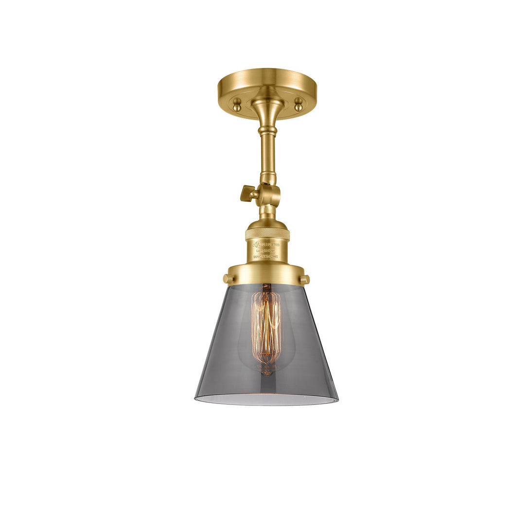 Innovations Franklin Restoration 201F-SG-G63 Ceiling Light - Satin Gold