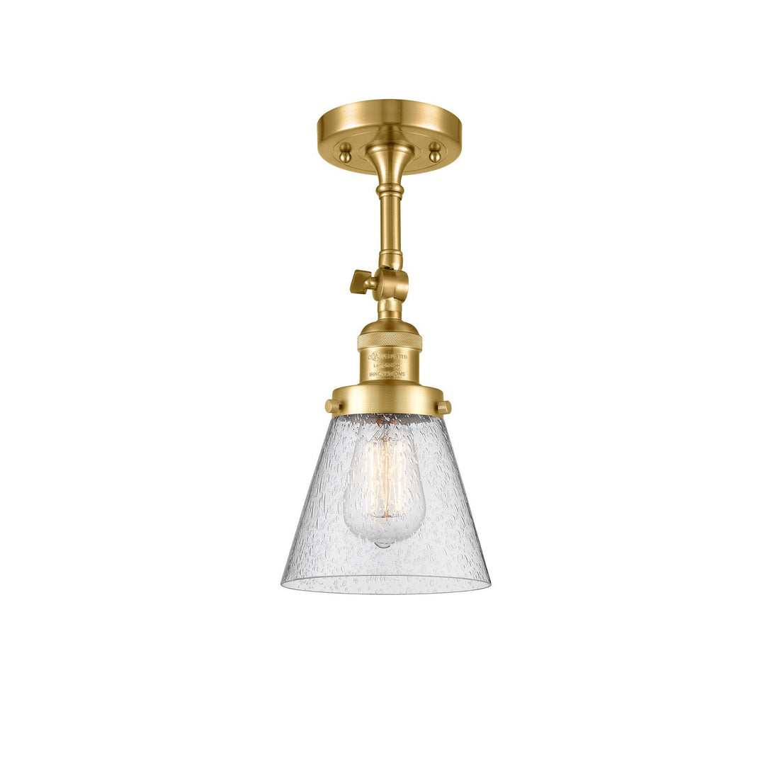 Innovations Franklin Restoration 201F-SG-G64 Ceiling Light - Satin Gold