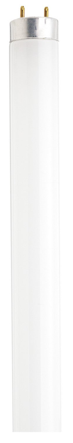 Satco Lighting S2916-TF   Light Bulb White