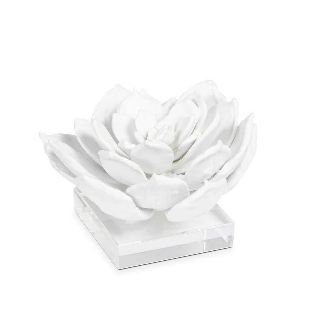 Regina Andrew 20-1483  Succulent Home Decor White