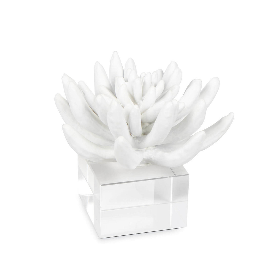 Regina Andrew 20-1484  Succulent Home Decor White