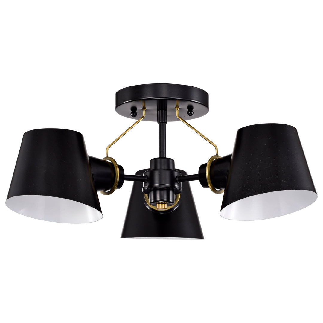 Nuvo Baxter 60-7384 Ceiling Light - Black / Burnished Brass