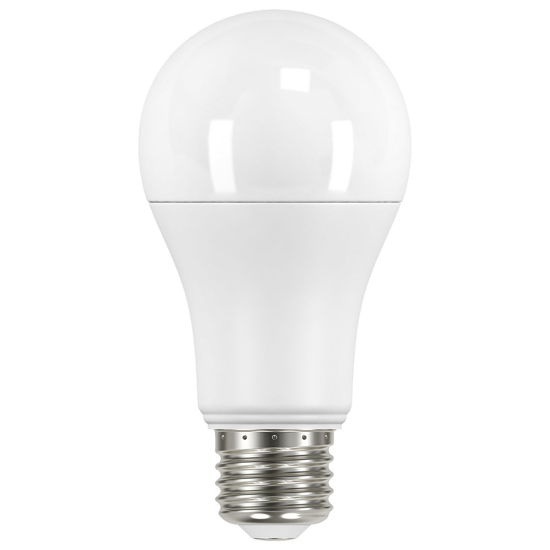 Satco Lighting S11455   Light Bulb Frost