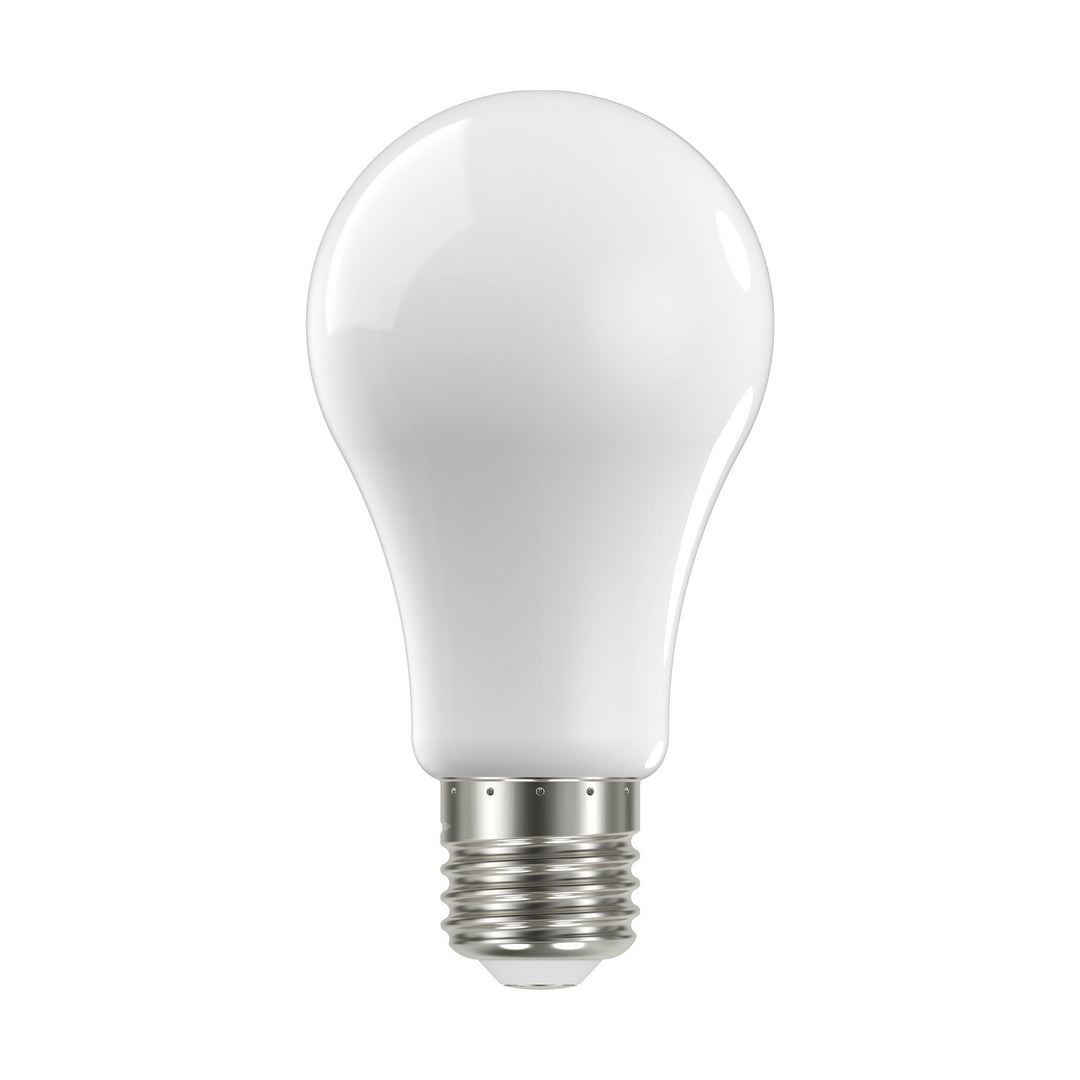 Satco Lighting S12440   Light Bulb Soft White