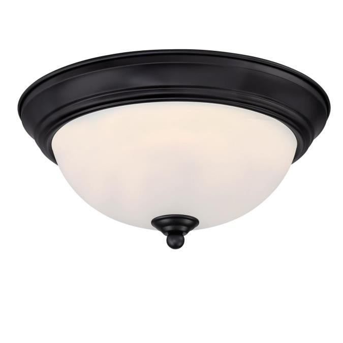 Westinghouse  6118600 Ceiling Light - Matte Black