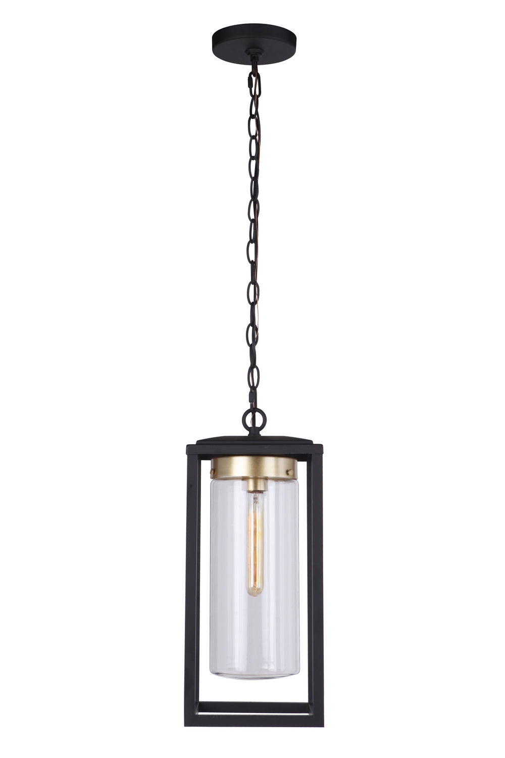 Craftmade Lighting ZA4821-MNSB  Neo Outdoor Midnight/Satin Brass