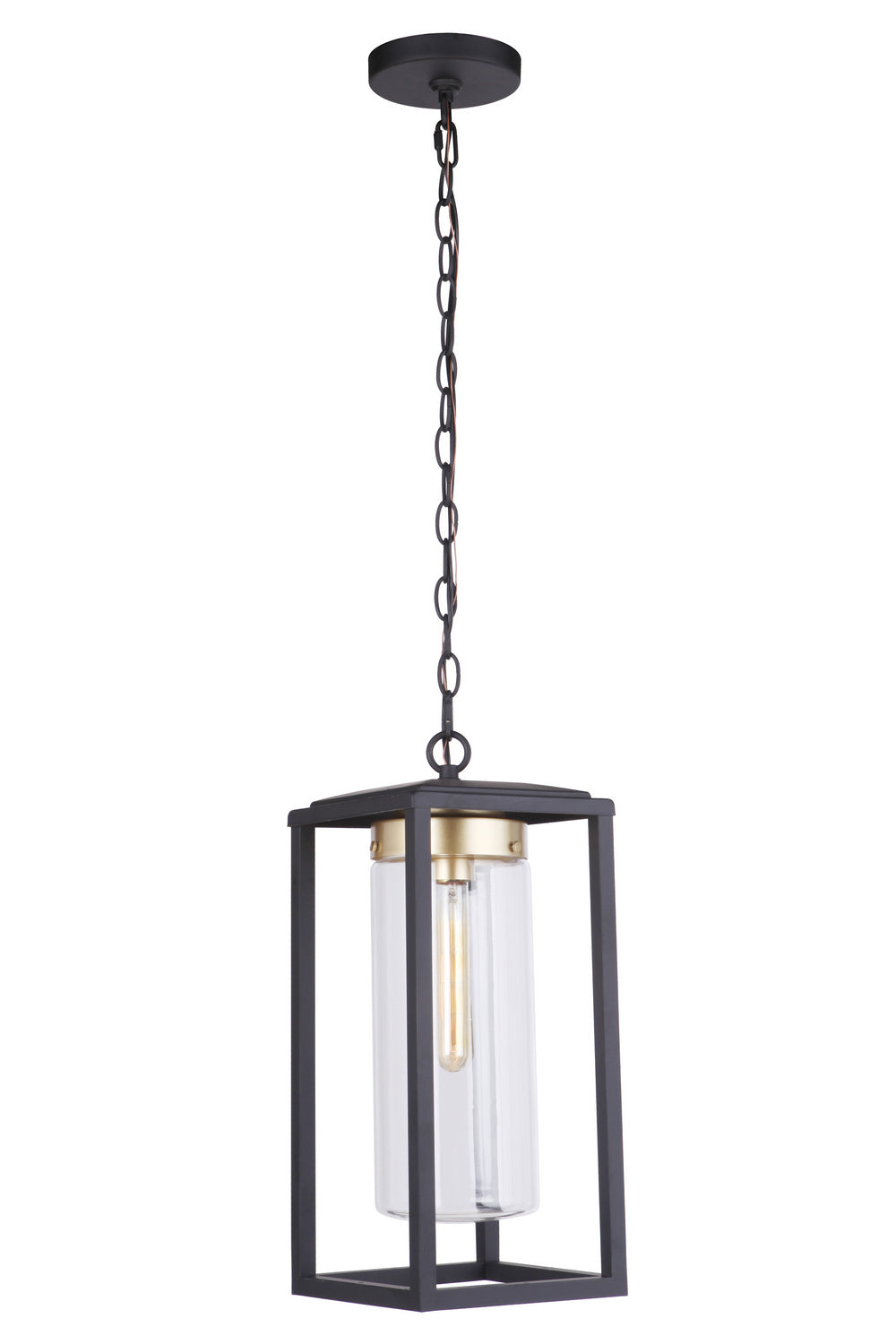 Craftmade Lighting ZA4821-MNSB  Neo Outdoor Midnight/Satin Brass