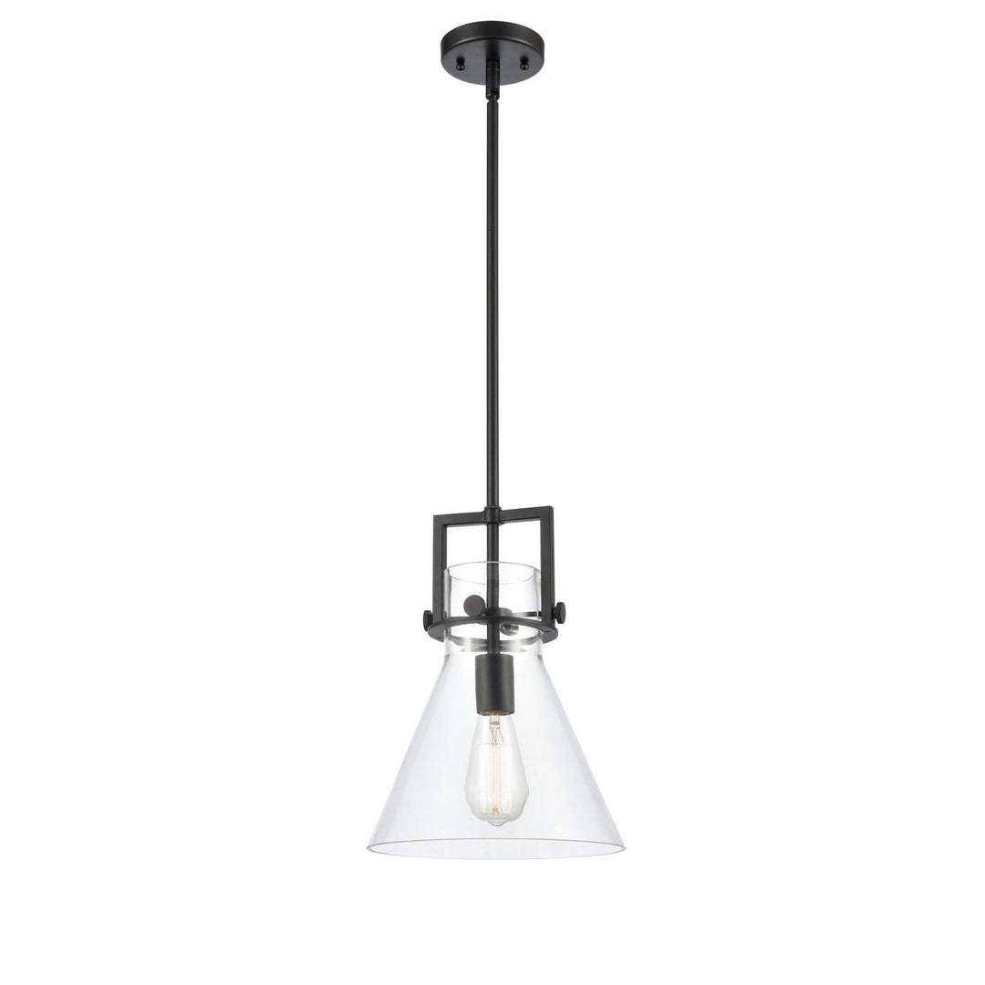 Innovations Newton 411-1S-BK-10CL-LED Pendant Light - Matte Black