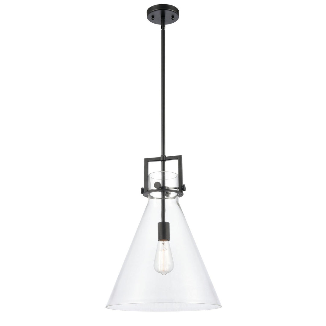 Innovations Newton 411-1S-BK-14CL Pendant Light - Matte Black