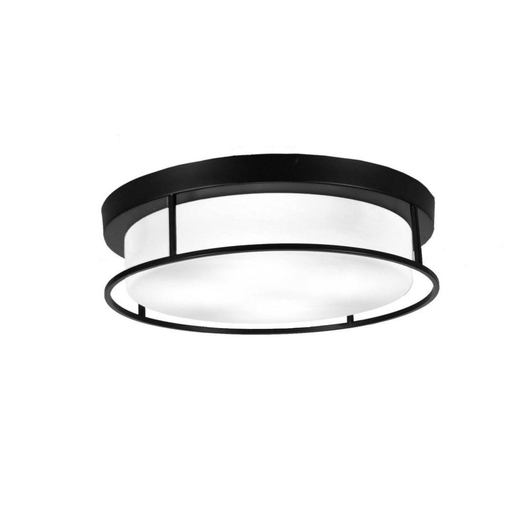 Toltec Any 818-mb-1 Ceiling Light - Matte Black