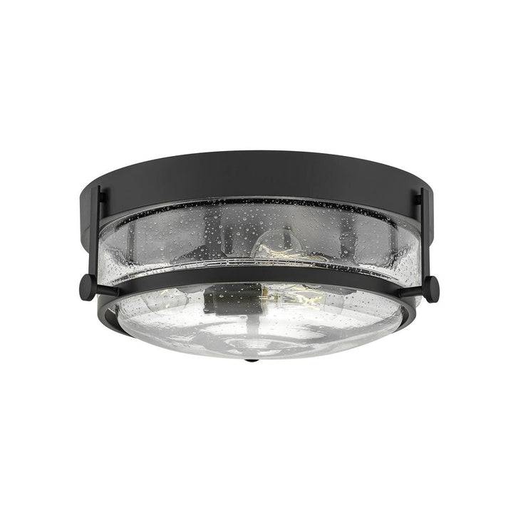 Hinkley Harper 3640BK-CS Ceiling Light - Black with Clear Seedy glass