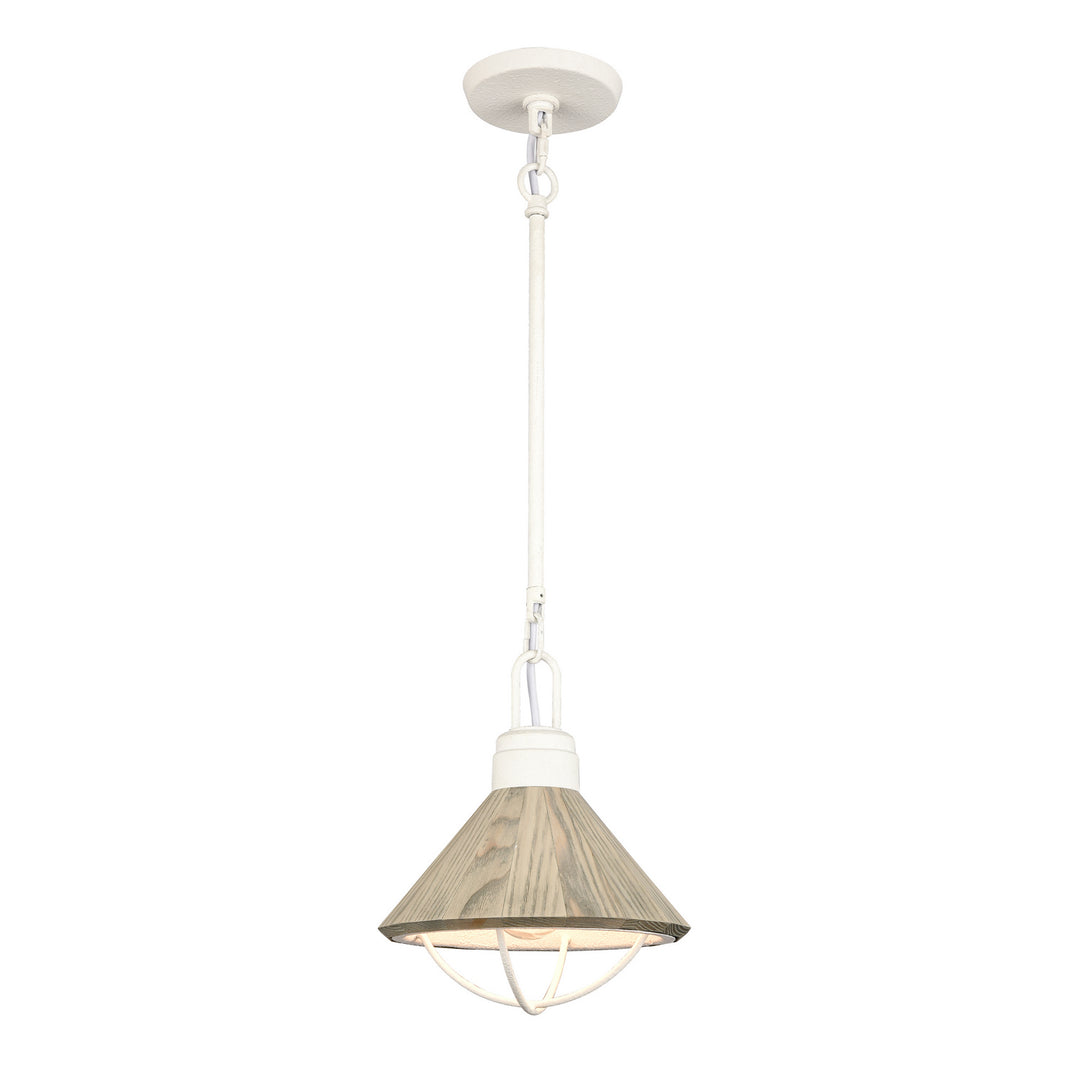 Elk Cape May 63156/1 Pendant Light - White Coral
