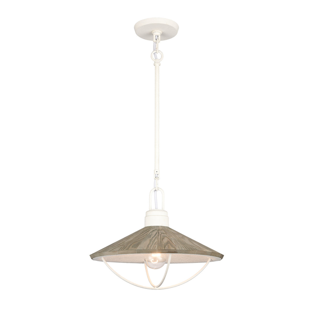 Elk Cape May 63157/1 Pendant Light - White Coral