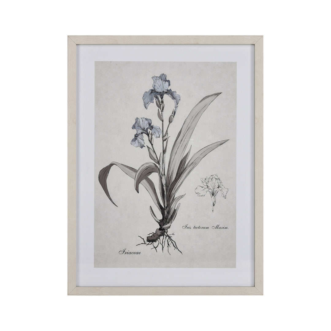 Elk Lighting S0056-10633  Iris Botanic Mirror Cream
