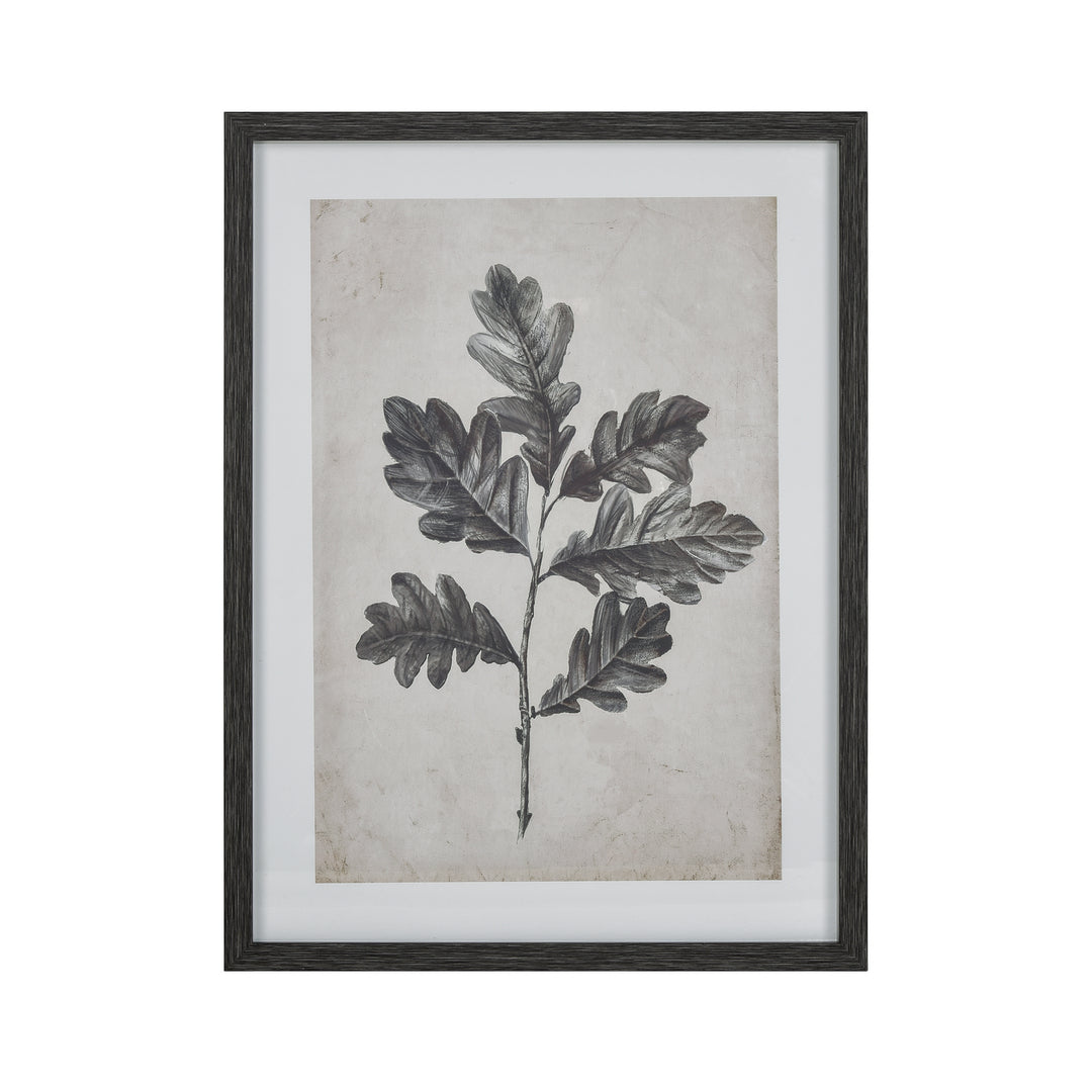 Elk Lighting S0056-10635  Oak Botanic Mirror Black